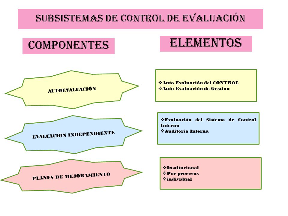 elementos componentes Subsistemas DE CONTROL de evaluación