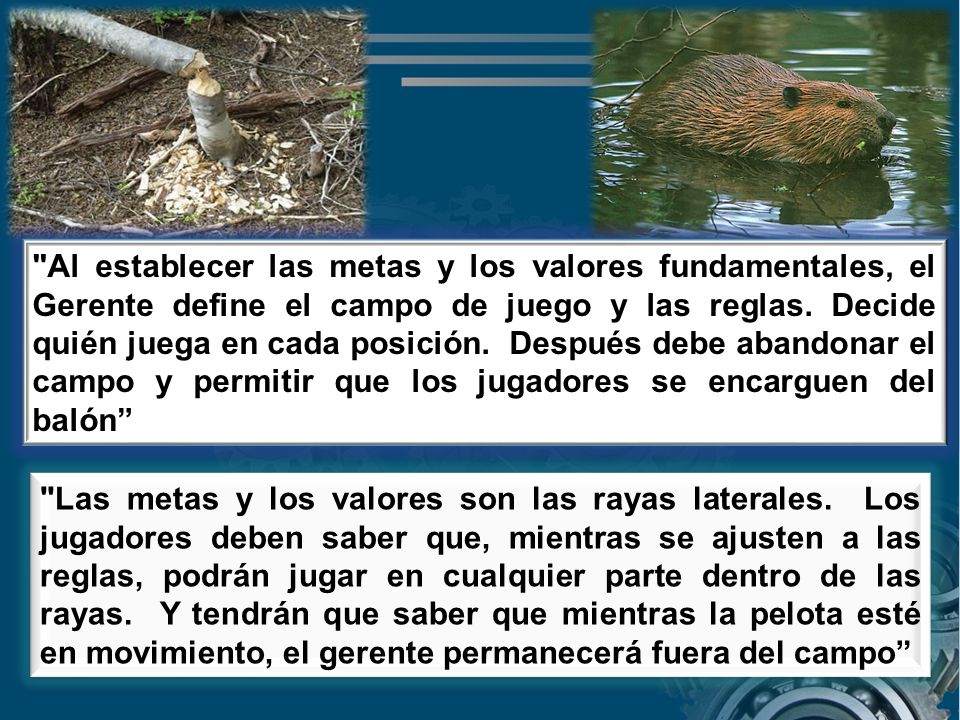 Al establecer las metas y los valores fundamentales, el Gerente define el campo de juego y las reglas. Decide quién juega en cada posición. Después debe abandonar el campo y permitir que los jugadores se encarguen del balón