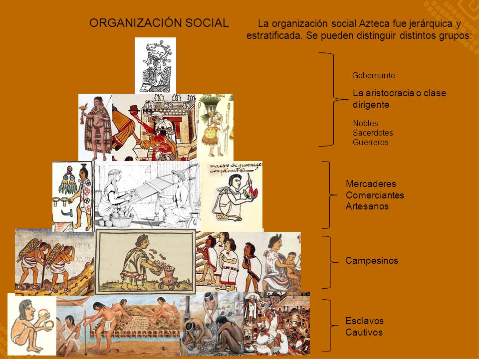 ORGANIZACIÓN SOCIAL La organización social Azteca fue jerárquica y estratificada. Se pueden distinguir distintos grupos: