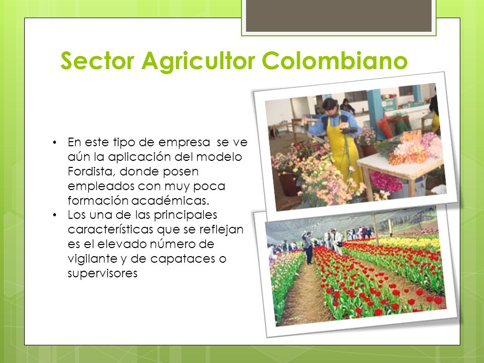 Sector Agricultor Colombiano