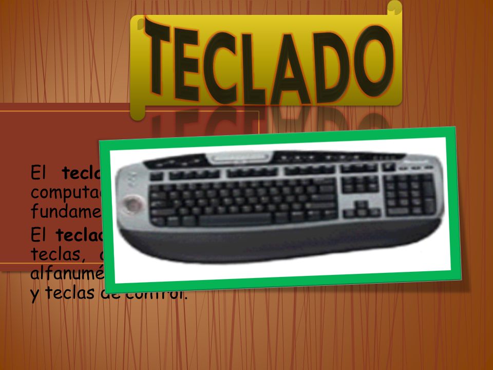 teclado El teclado permite la comunicación con la computadora e ingresar la información. Es fundamental para utilizar cualquier aplicación.