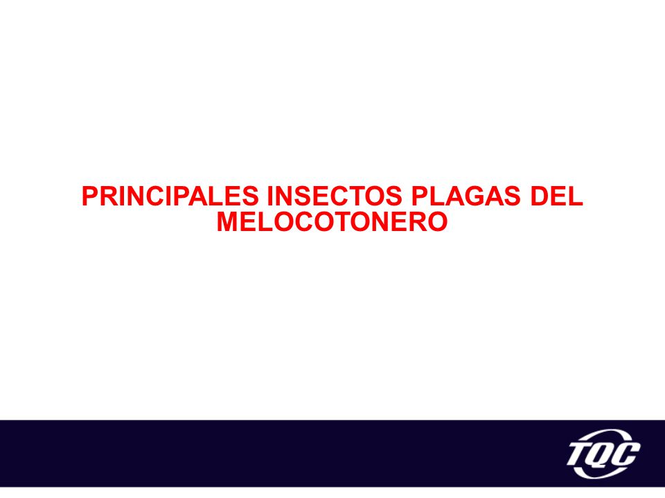 PRINCIPALES INSECTOS PLAGAS DEL MELOCOTONERO