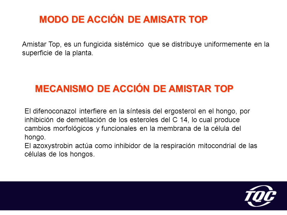 MODO DE ACCIÓN DE AMISATR TOP MECANISMO DE ACCIÓN DE AMISTAR TOP
