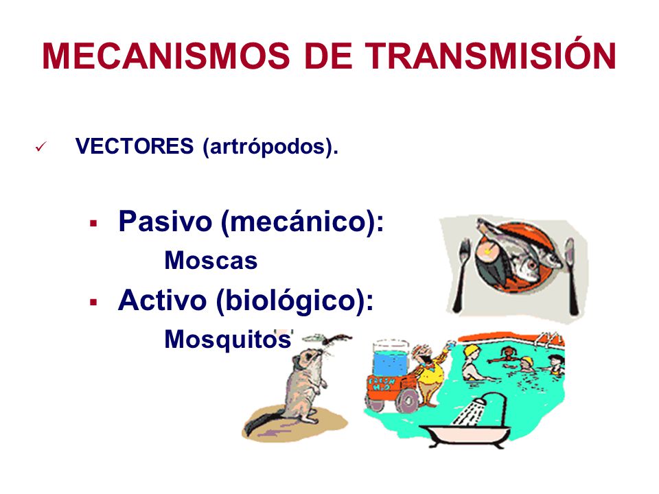 MECANISMOS DE TRANSMISIÓN
