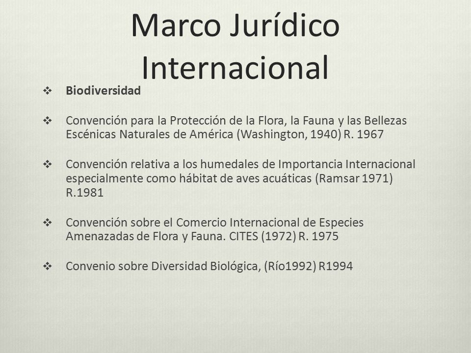 Marco Jurídico Internacional