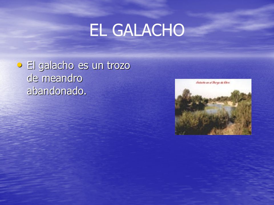 EL GALACHO El galacho es un trozo de meandro abandonado.