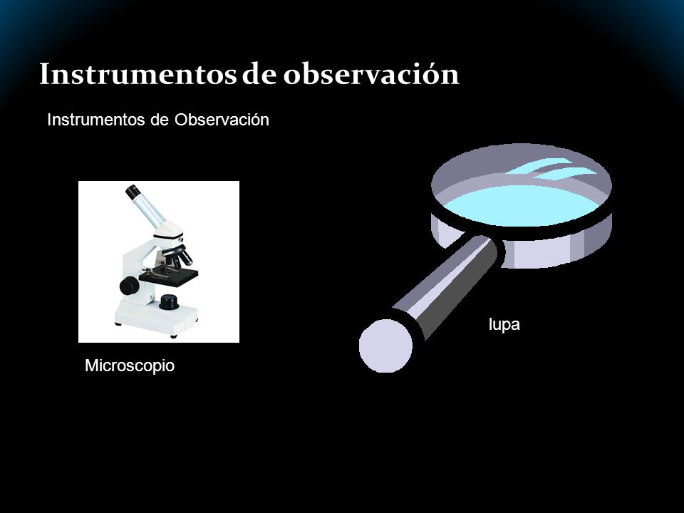 Instrumentos de observación