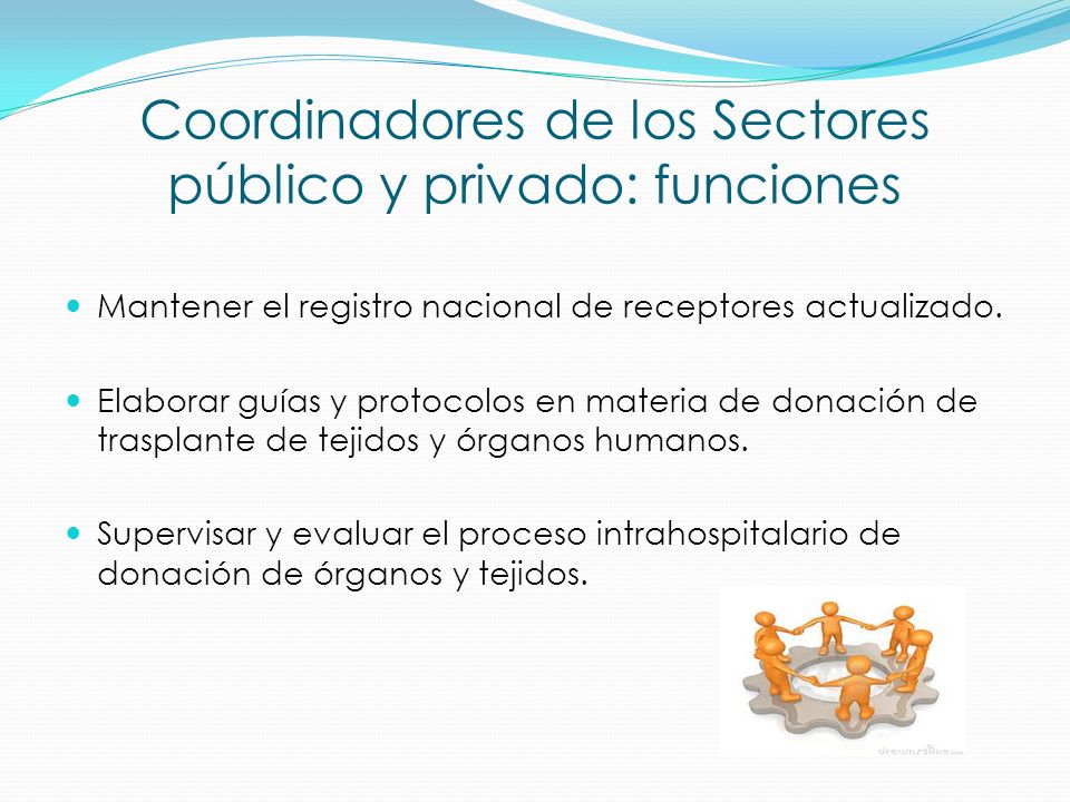 Coordinadores de los Sectores público y privado: funciones