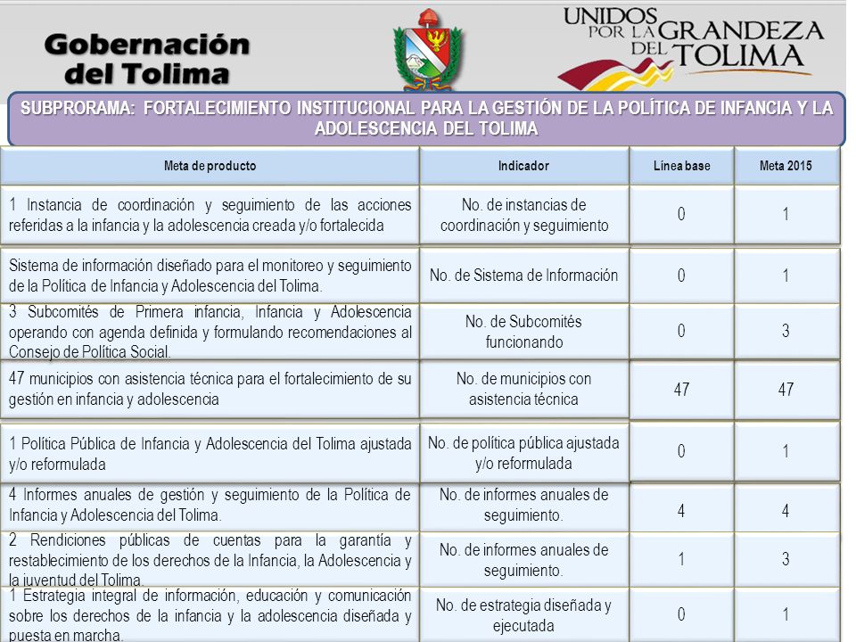 SUBPRORAMA: FORTALECIMIENTO INSTITUCIONAL PARA LA GESTIÓN DE LA POLÍTICA DE INFANCIA Y LA ADOLESCENCIA DEL TOLIMA