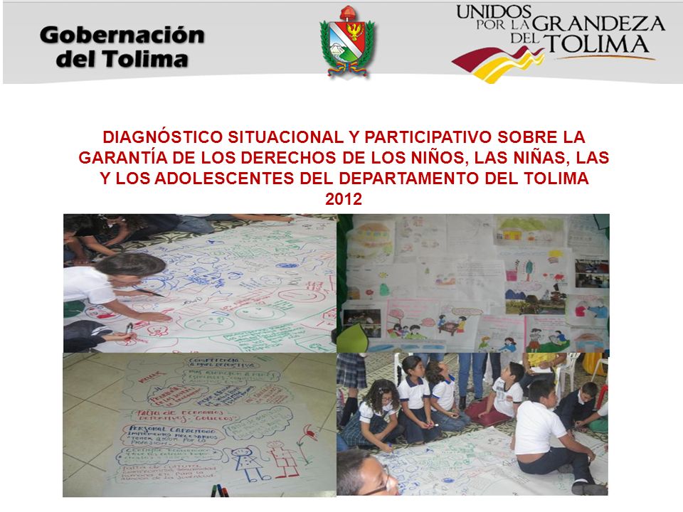 DIAGNÓSTICO SITUACIONAL Y PARTICIPATIVO SOBRE LA GARANTÍA DE LOS DERECHOS DE LOS NIÑOS, LAS NIÑAS, LAS Y LOS ADOLESCENTES DEL DEPARTAMENTO DEL TOLIMA