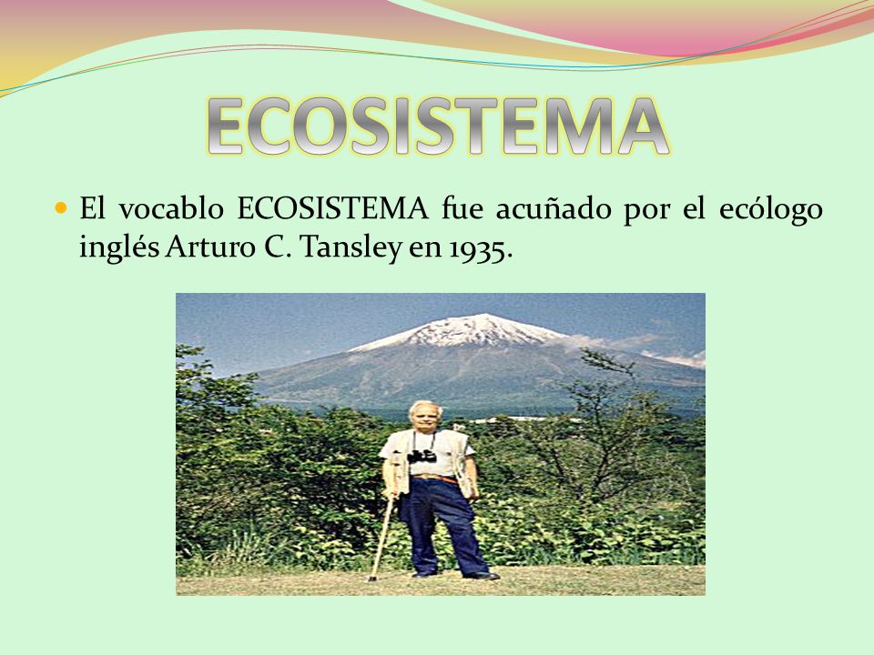 ECOSISTEMA El vocablo ECOSISTEMA fue acuñado por el ecólogo inglés Arturo C. Tansley en 1935.