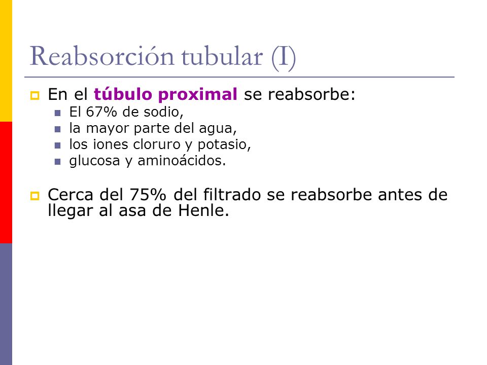Reabsorción tubular (I)