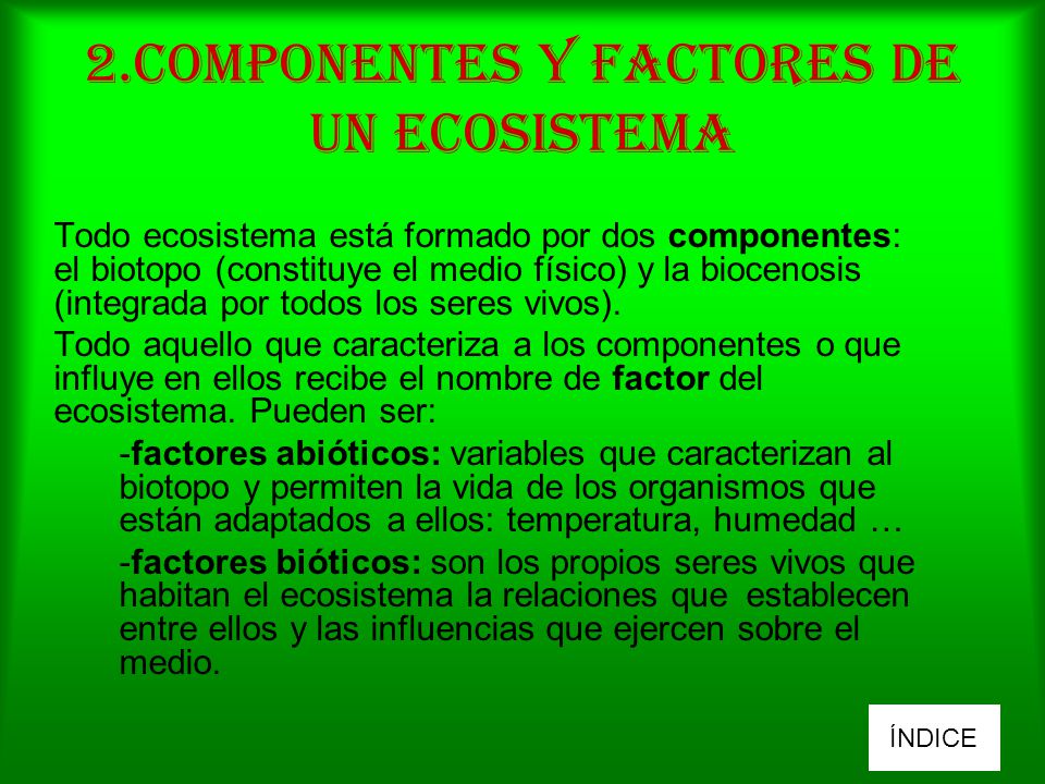 2.COMPONENTES Y FACTORES DE UN ECOSISTEMA