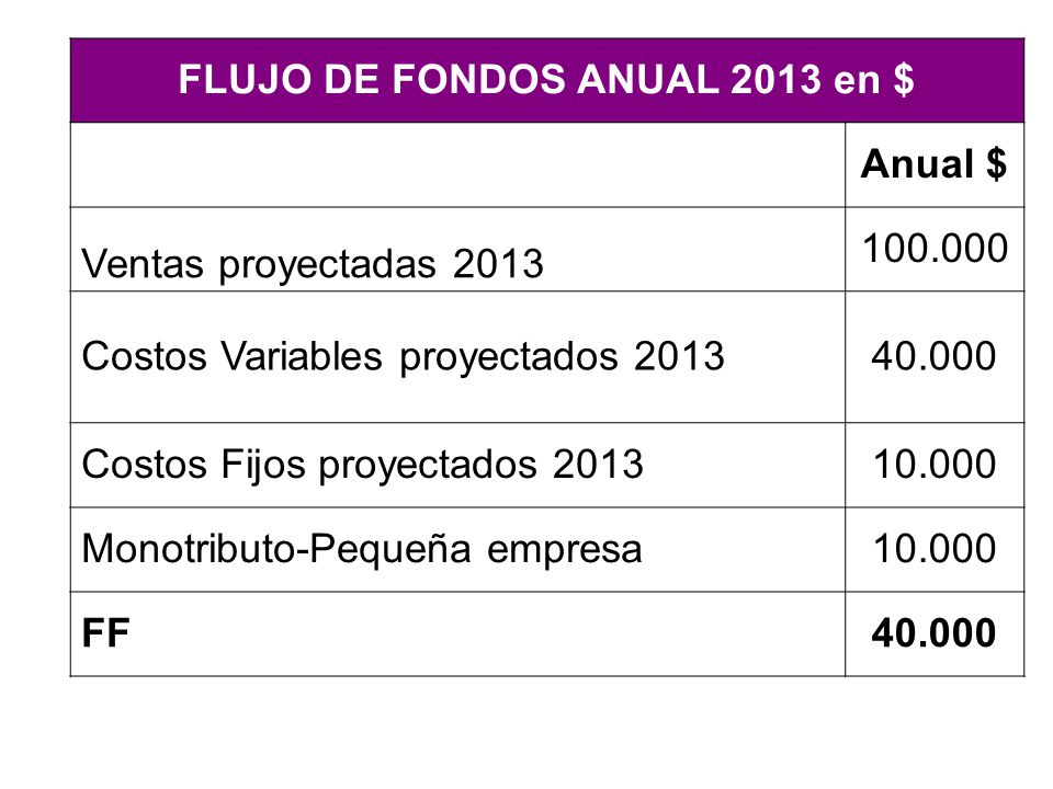 FLUJO DE FONDOS ANUAL 2013 en $