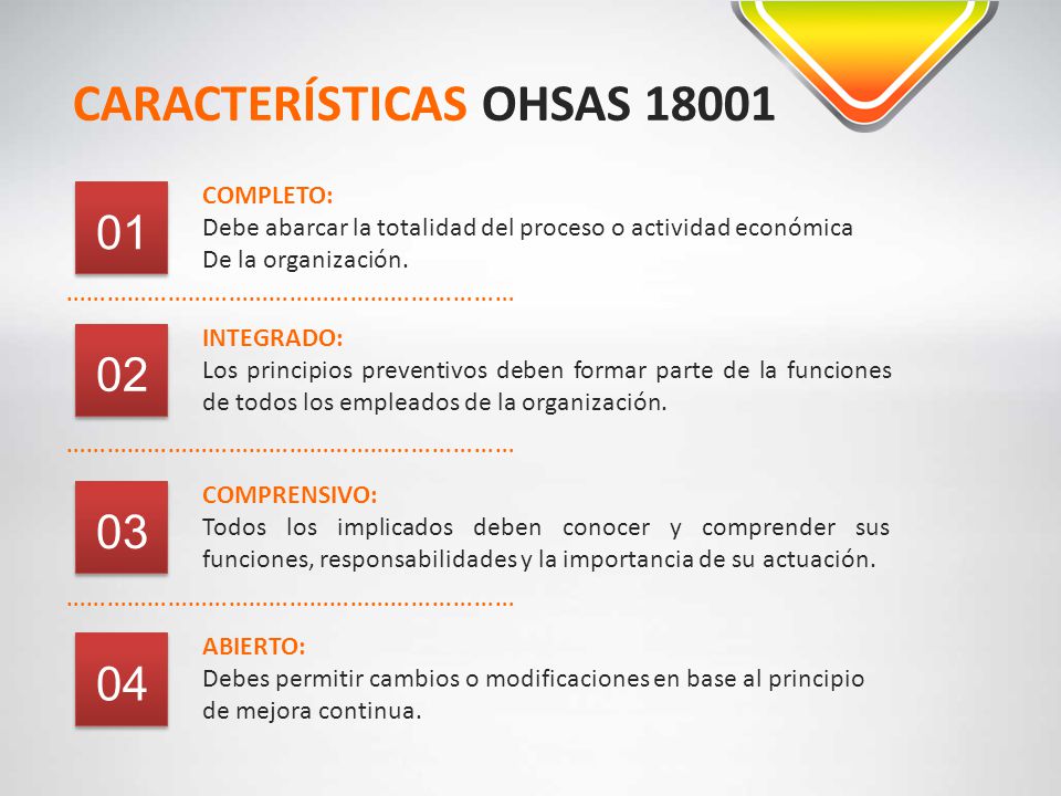 CARACTERÍSTICAS OHSAS 18001