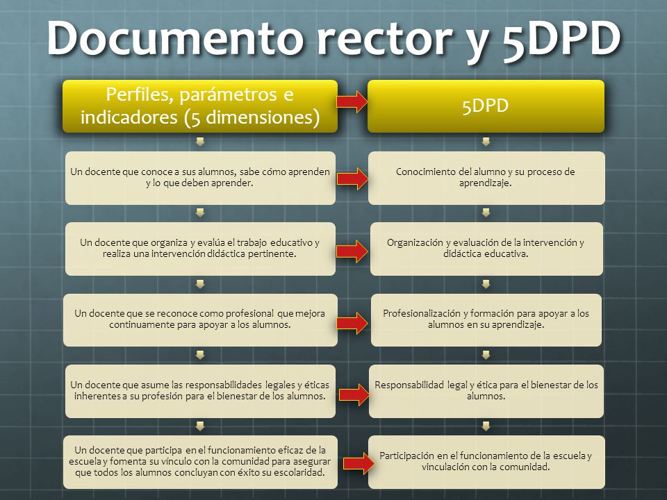 Documento rector y 5DPD Perfiles, parámetros e indicadores (5 dimensiones)