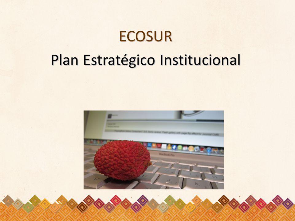 ECOSUR Plan Estratégico Institucional