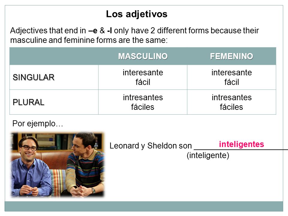 Los adjetivos Adjectives that end in –e & -l only have 2 different forms because their masculine and feminine forms are the same: