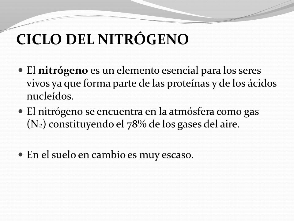 CICLO DEL NITRÓGENO El nitrógeno es un elemento esencial para los seres vivos ya que forma parte de las proteínas y de los ácidos nucleídos.