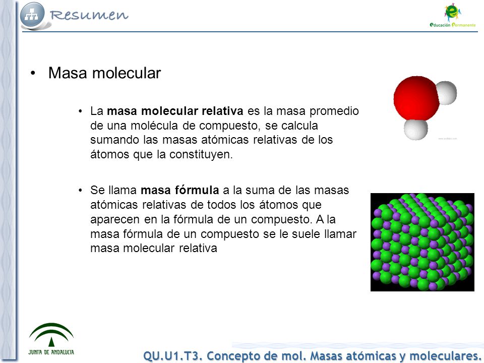 Masa molecular