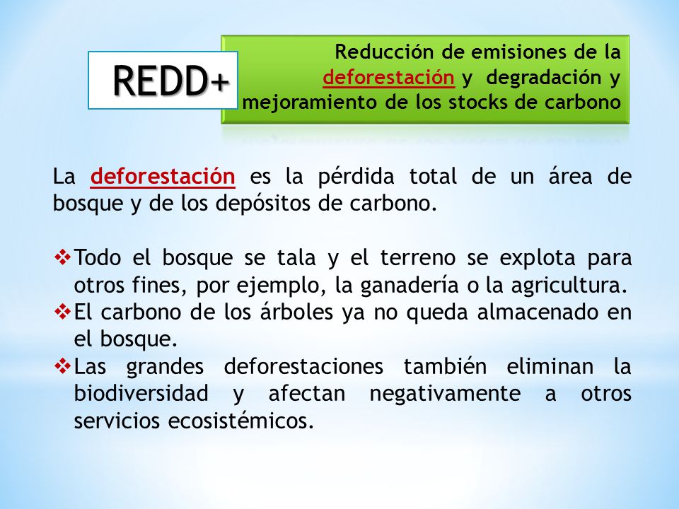 Reducción de emisiones de la deforestación y degradación y mejoramiento de los stocks de carbono