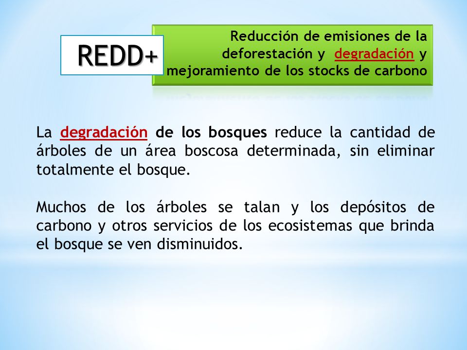 Reducción de emisiones de la deforestación y degradación y mejoramiento de los stocks de carbono