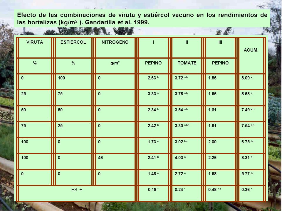 Efecto de las combinaciones de viruta y estiércol vacuno en los rendimientos de las hortalizas (kg/m2 ). Gandarilla et al