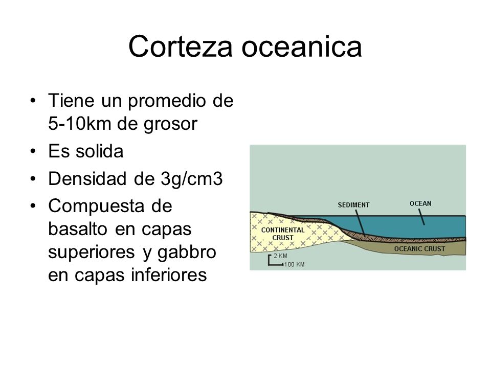 Corteza oceanica Tiene un promedio de 5-10km de grosor Es solida