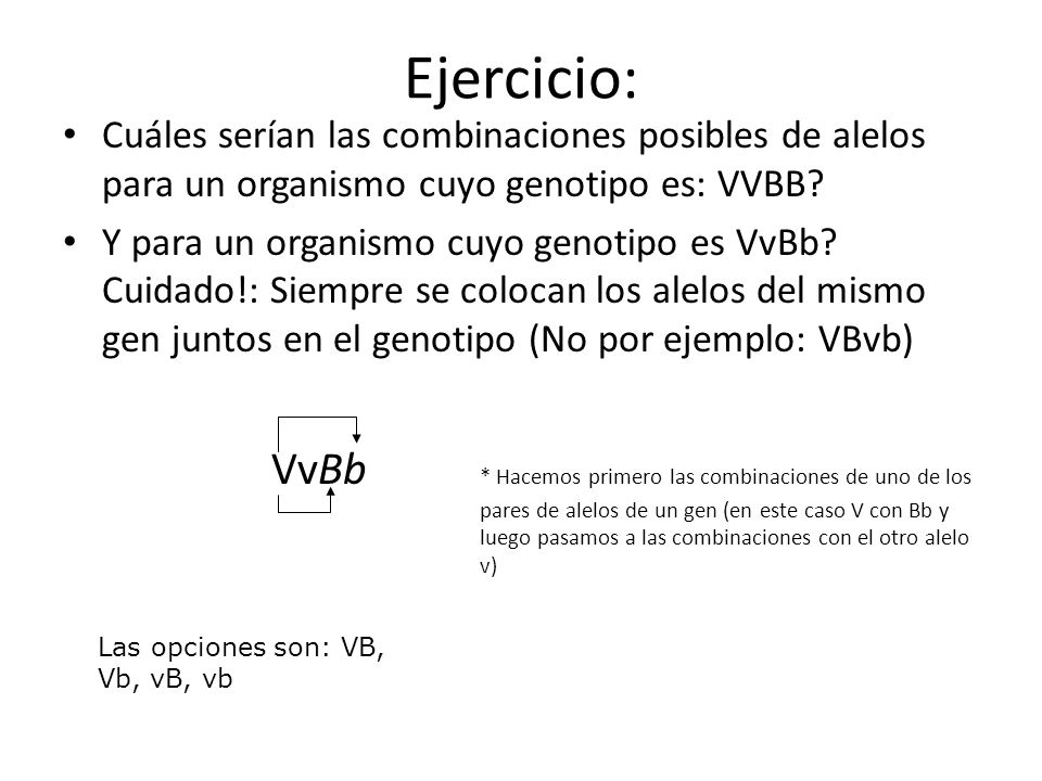 Ejercicio: Cuáles serían las combinaciones posibles de alelos para un organismo cuyo genotipo es: VVBB