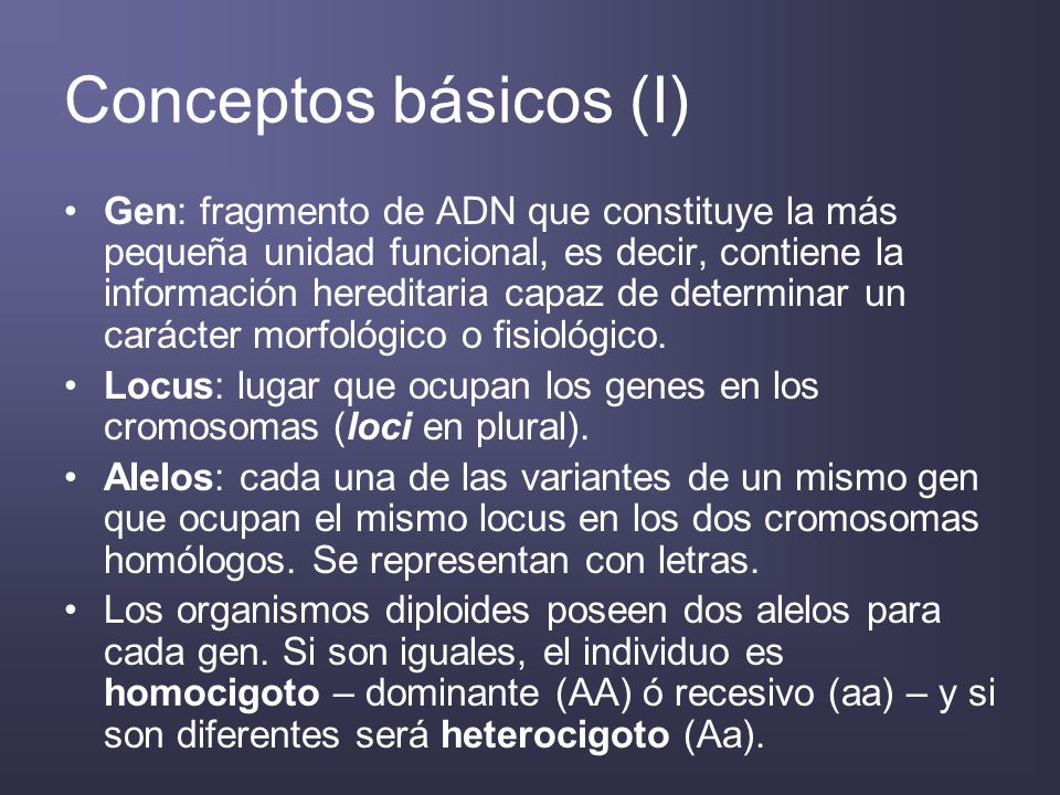 Conceptos básicos (I)