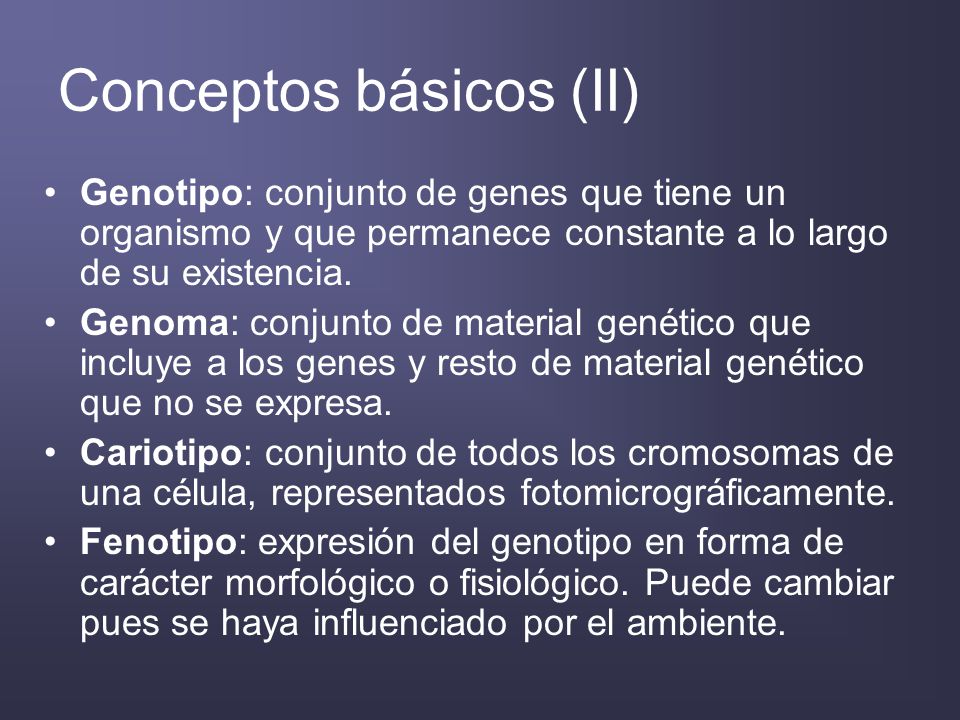 Conceptos básicos (II)
