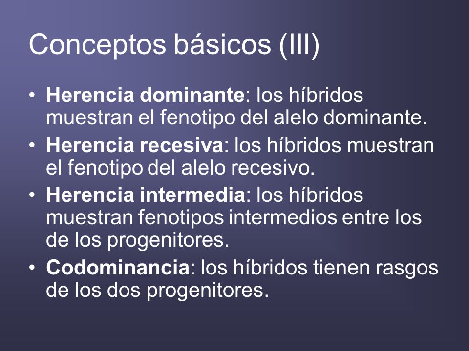 Conceptos básicos (III)