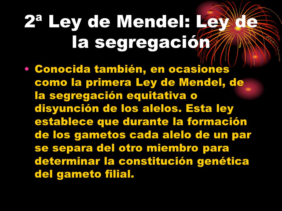 2ª Ley de Mendel: Ley de la segregación