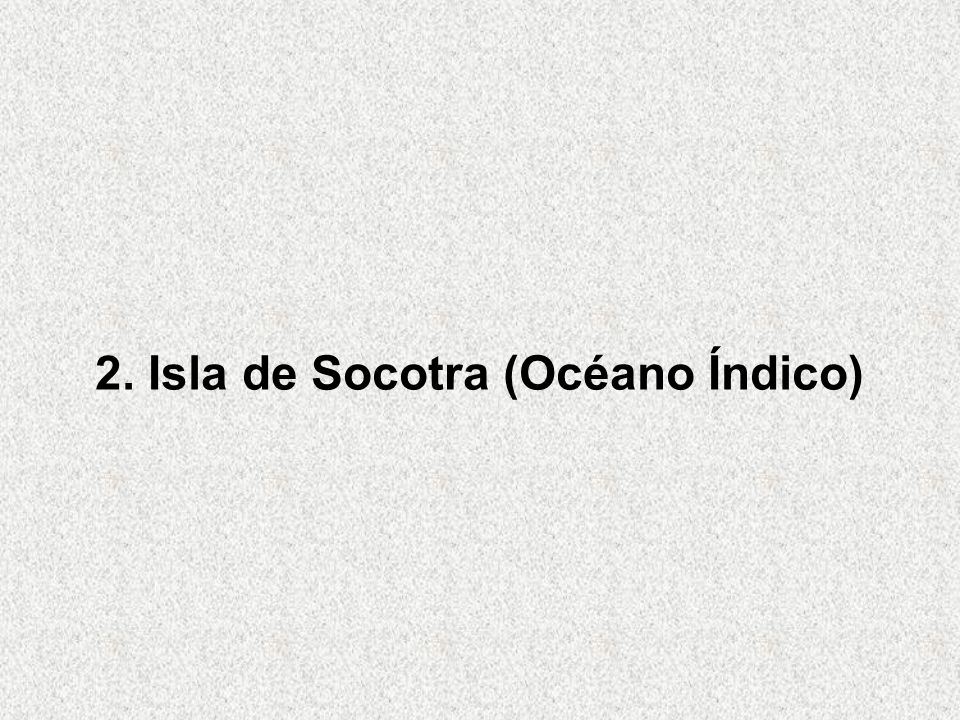 2. Isla de Socotra (Océano Índico)