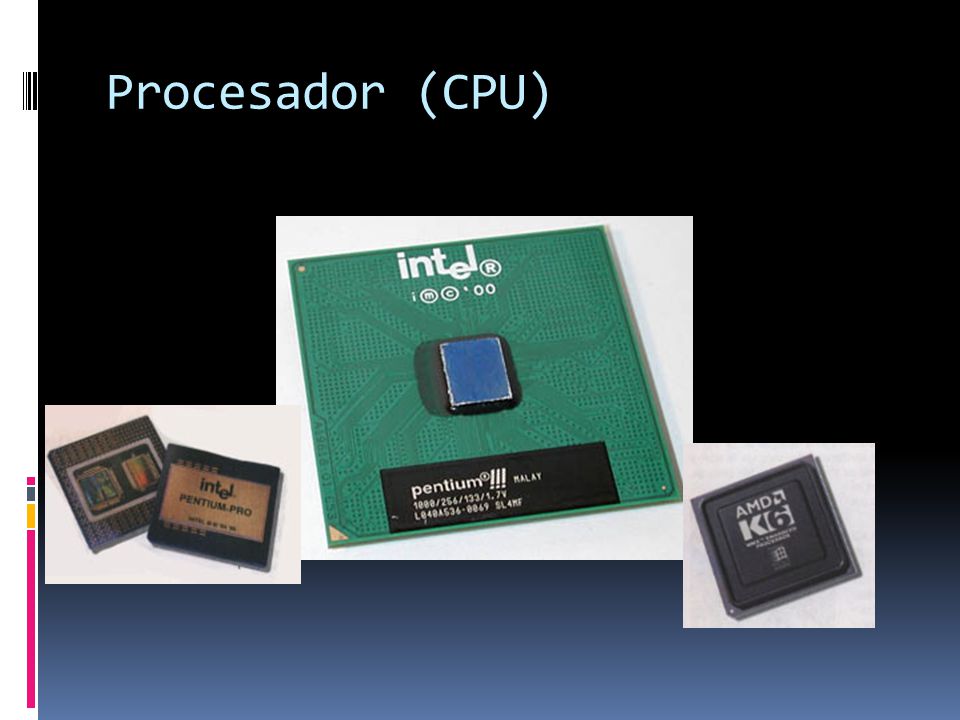 Procesador (CPU)