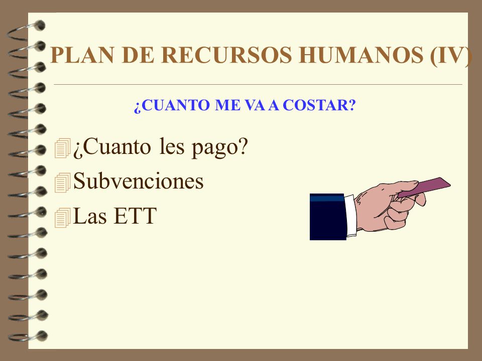 PLAN DE RECURSOS HUMANOS (IV)