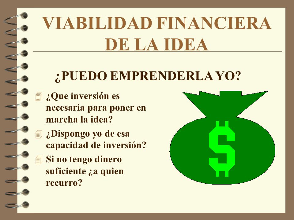 VIABILIDAD FINANCIERA DE LA IDEA
