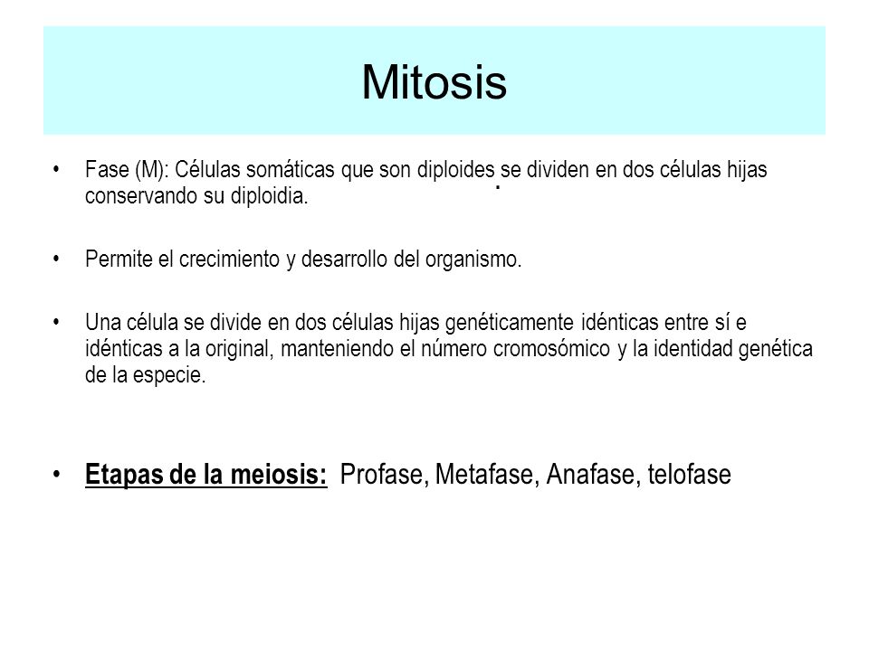 Mitosis . Etapas de la meiosis: Profase, Metafase, Anafase, telofase