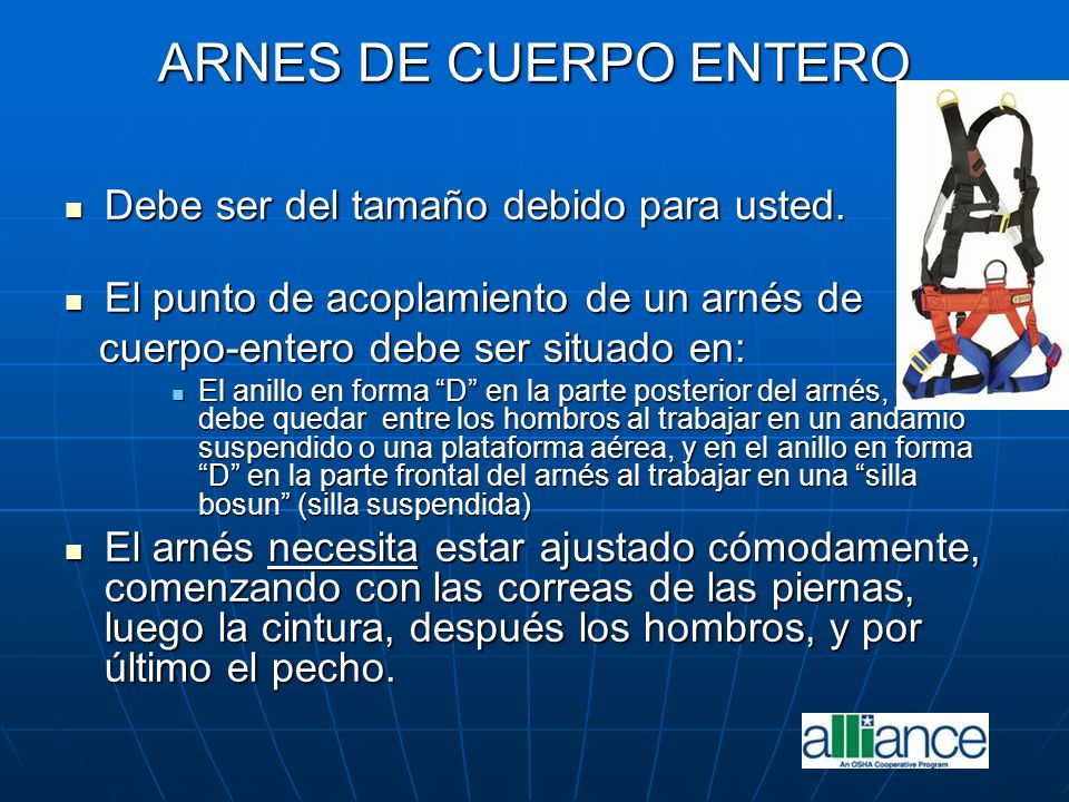 ARNES DE CUERPO ENTERO Debe ser del tamaño debido para usted.