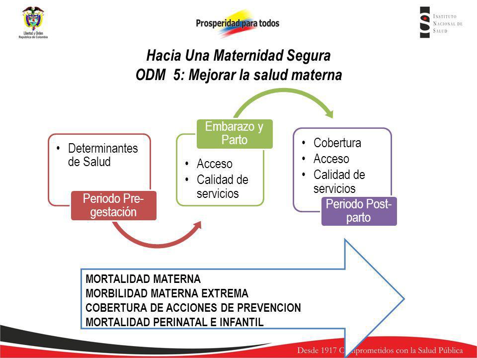 Hacia Una Maternidad Segura ODM 5: Mejorar la salud materna