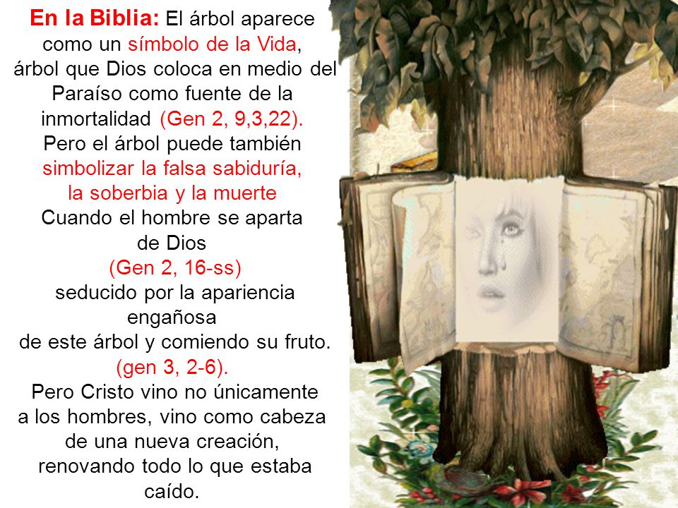 En la Biblia: El árbol aparece