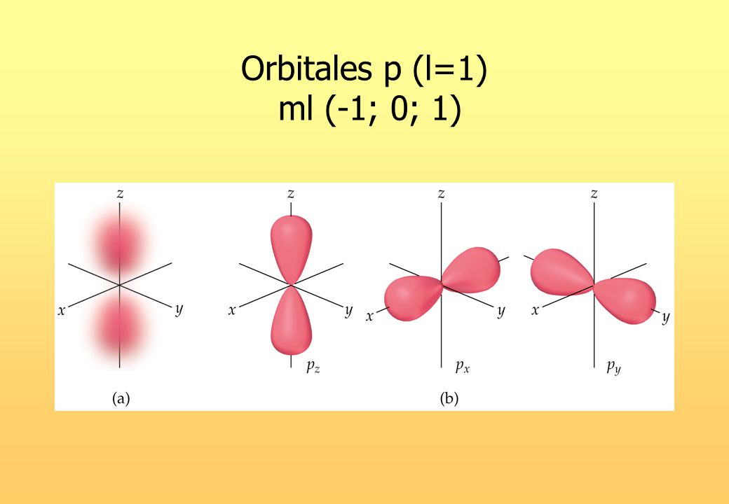 Orbitales p (l=1) ml (-1; 0; 1)