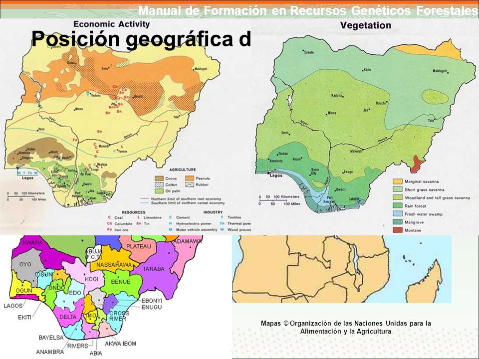 Posición geográfica de Nigeria