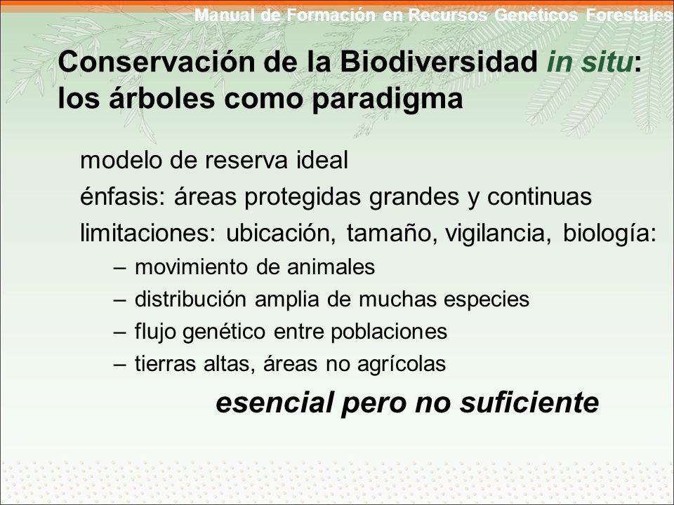 Conservación de la Biodiversidad in situ: los árboles como paradigma