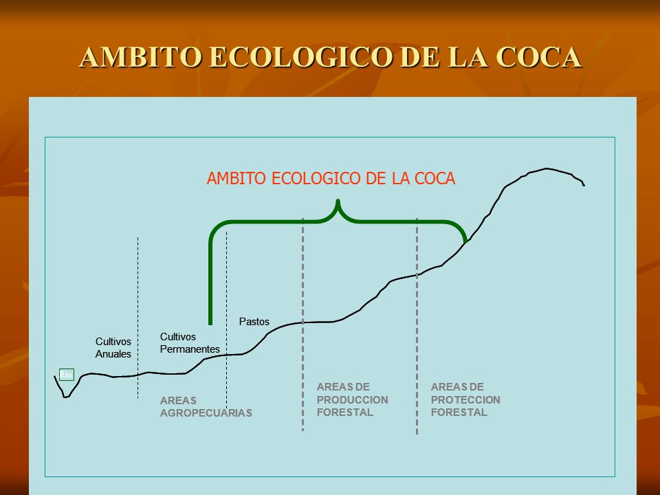 AMBITO ECOLOGICO DE LA COCA