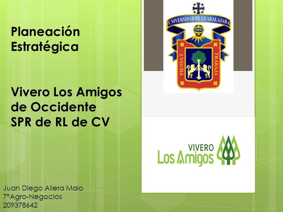 Planeación Estratégica Vivero Los Amigos de Occidente SPR de RL de CV
