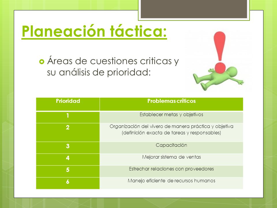 Planeación táctica: Áreas de cuestiones criticas y su análisis de prioridad: Prioridad. Problemas críticos.