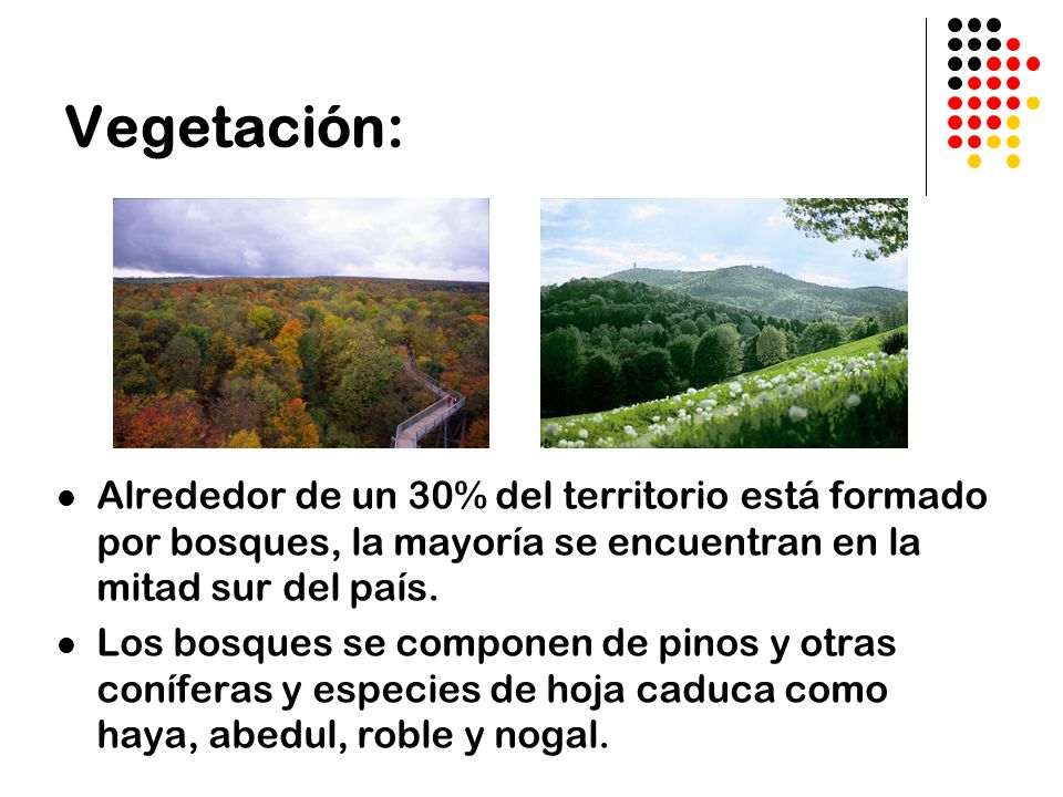 Vegetación: Alrededor de un 30% del territorio está formado por bosques, la mayoría se encuentran en la mitad sur del país.