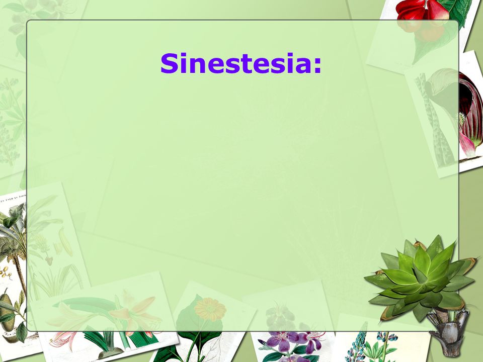 Sinestesia: