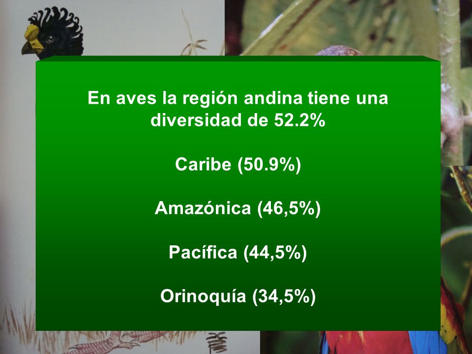 En aves la región andina tiene una diversidad de 52.2%